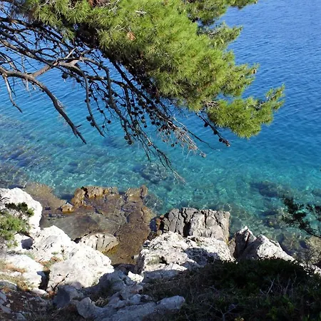 With Wifi Bozava, Dugi Otok - 18916 Appartement Božava